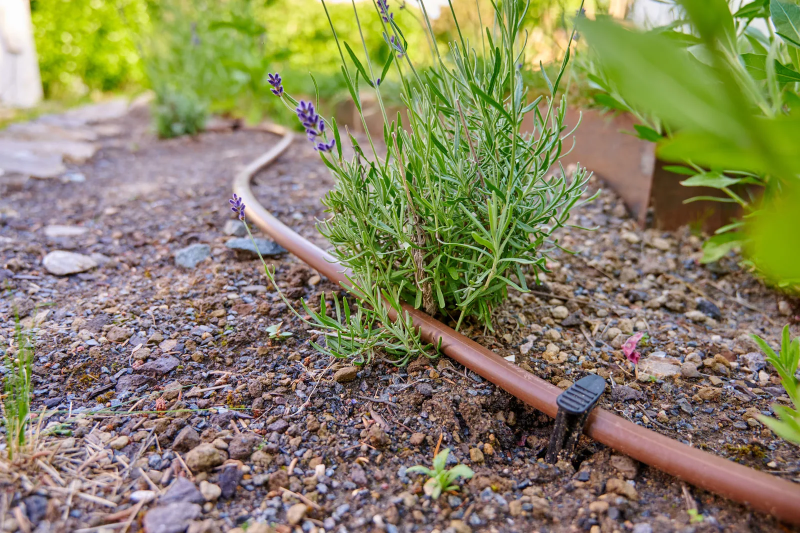 Gartenpflege, Bewässerung & Gartentechnik – Ullrich Gärten