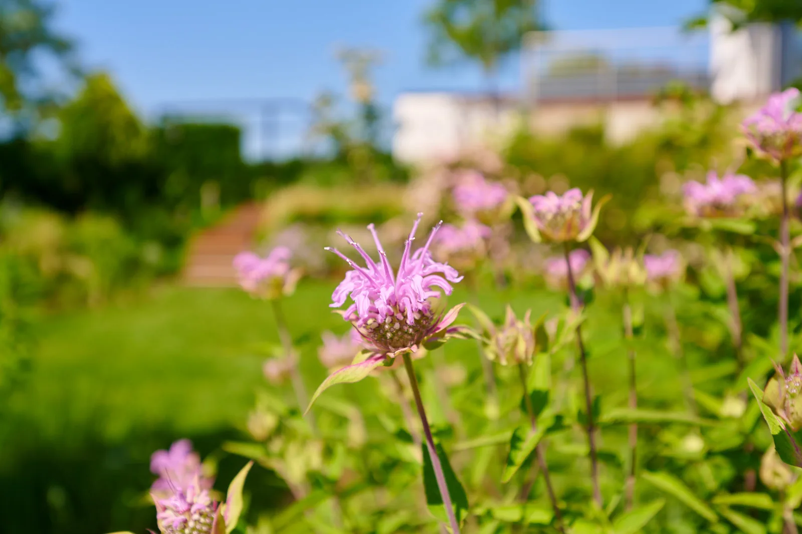 Gartenplanung – Ullrich Gärten Garten- und Landschaftsbau