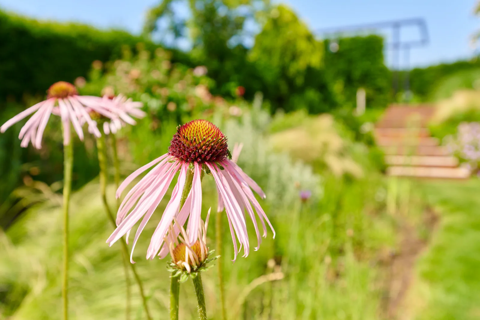 Gartenplanung – Ullrich Gärten Garten- und Landschaftsbau