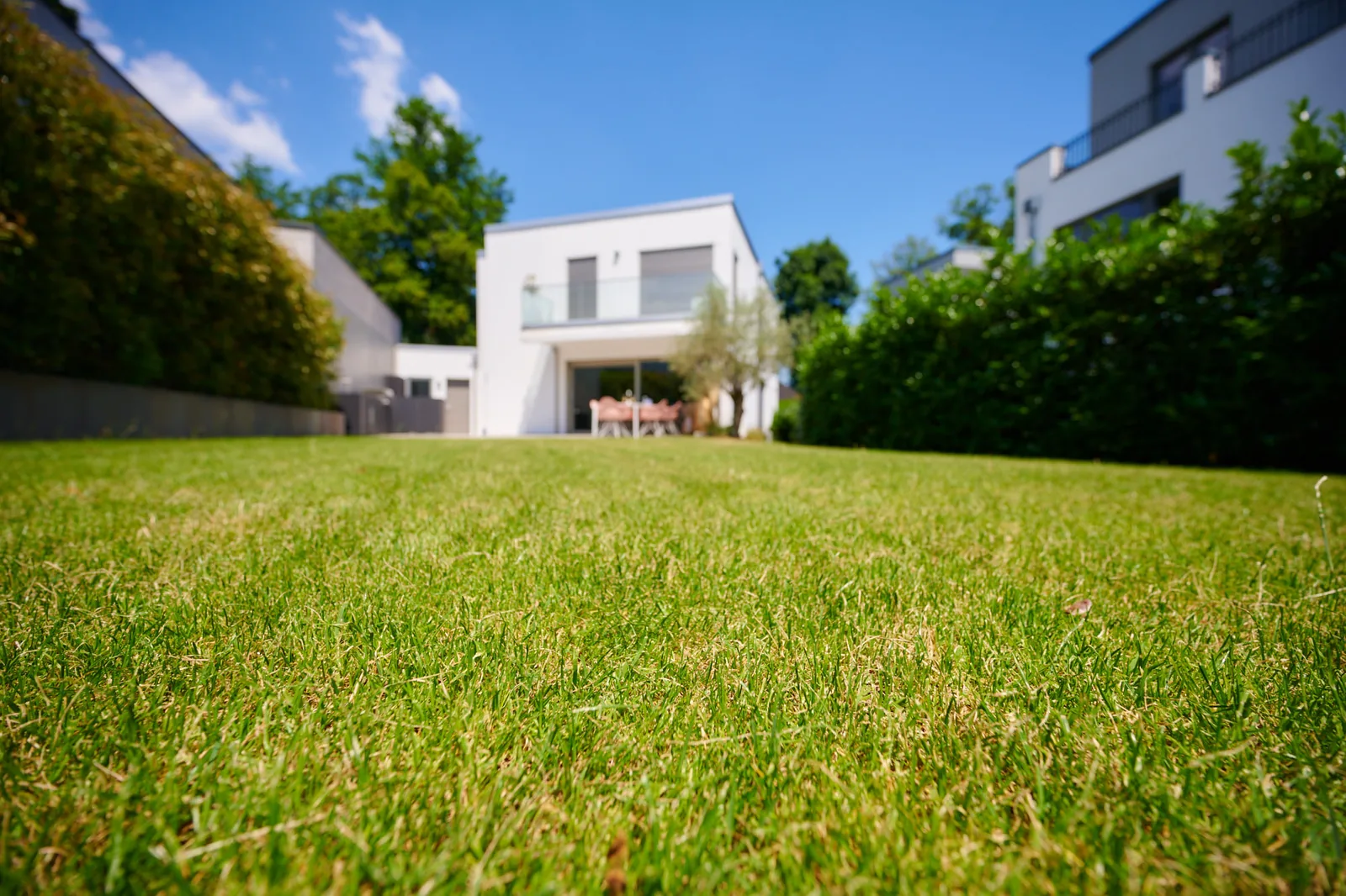 Moderner Hausgarten im Wohngebiet – Ullrich Gärten