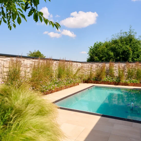 Pool: Schwimmbecken mit naturnaher Bepflanzung
