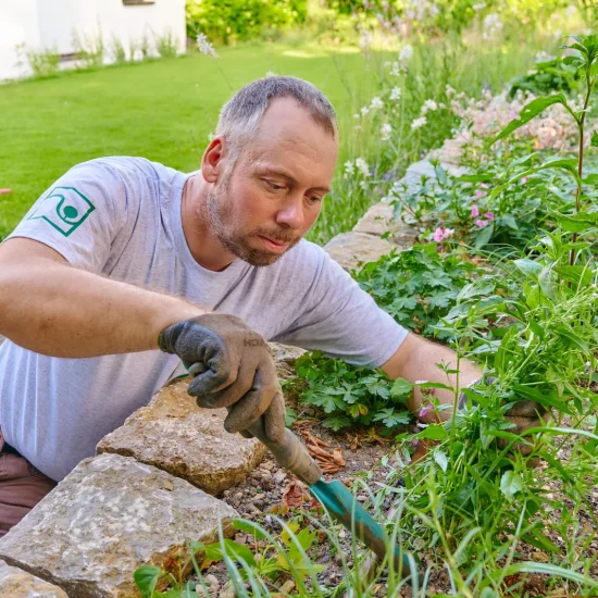 Gartenpflege: Beetpflege an der Natursteinmauer