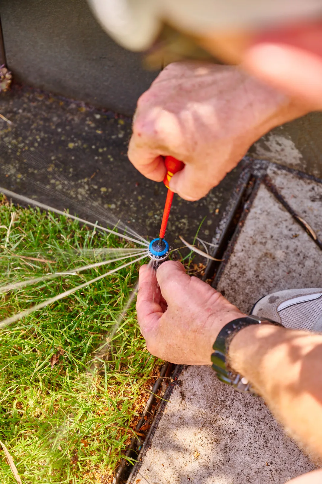 Bewässerung: Sprinkler wird eingestellt
