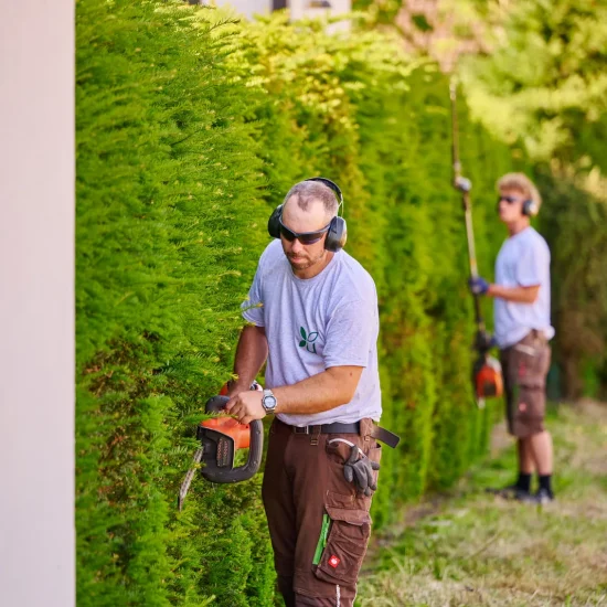 Gartenpflege: Heckenschnitt im Team