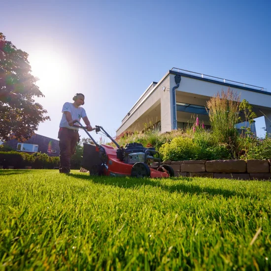 Gartenpflege: Rasenmähen im Abendlicht
