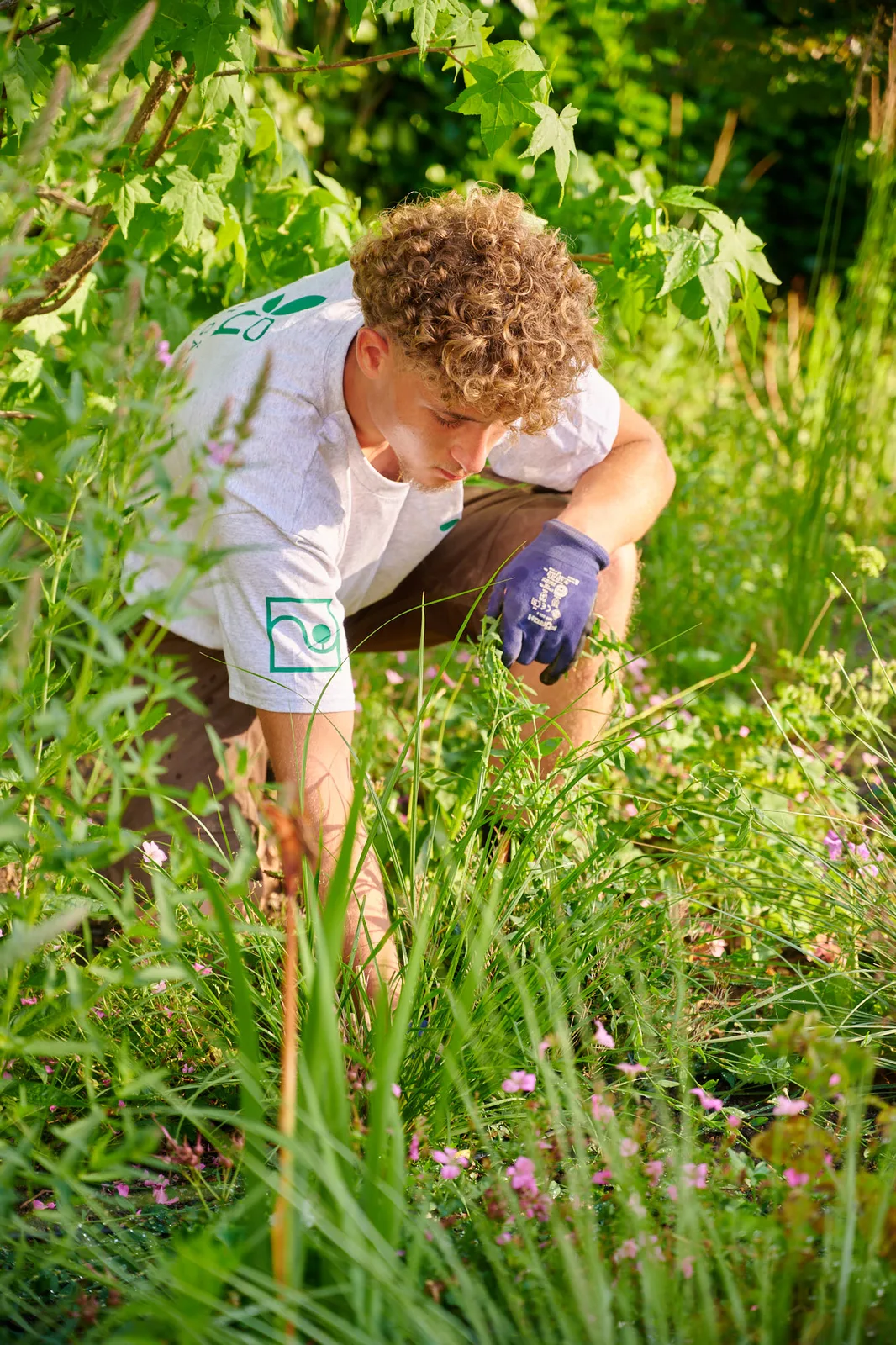 Gartenpflege: Pflege der Staudenbepflanzung